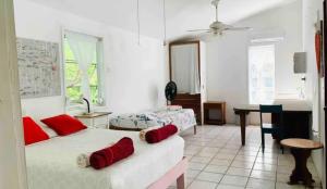 - une chambre avec 2 lits et un bureau dans l'établissement Feather's Guesthouse, à San Pedro