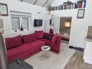 un salon avec un canapé rouge et une télévision dans l'établissement Seosko domaćinstvo Đed Radoš, à Nikšić