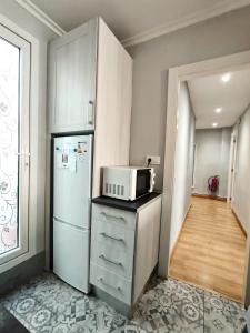 cocina con nevera y microondas en una encimera en Serendipia Apartamentos 1, en Logroño