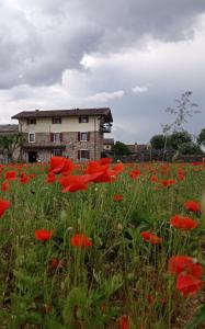 Gallery image of CASAL MICELIO in Udine