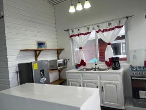 a kitchen with a refrigerator and a sink at Round the point Bungalow in Bastimentos
