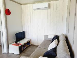 TV a/nebo společenská místnost v ubytování Chalet Etxetxoa, de 1 à 4 personnes avec Climatisation, SPA, Terrain privé et Piscine + 25 fotografií