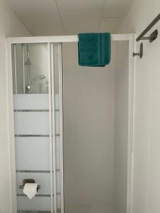 a bathroom with a shower with a green towel at Appartement avec jardin - Le Citronnier in Menton