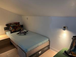Postel nebo postele na pokoji v ubytování GITE PEI LA VANILLE Duplex Bord de Nature