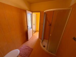 a bathroom with a shower and a toilet at Penzion U Báby in Třeboň