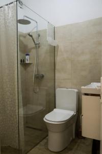 a bathroom with a shower with a toilet and a sink at Cozy spacious apartment in Peje