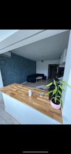 een woonkamer met een tafel en een potplant bij VD Apartament in Constanţa