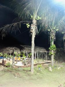 Afbeelding uit fotogalerij van Chácara da Serra in Pindoguaba