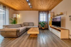 - un salon avec un canapé et une télévision dans l'établissement Apartment Kofel Aussicht, à Oberammergau