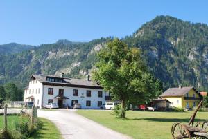 a white building with a tree in front of a mountain at Gästehaus Riki Oberschmid in Steinbach am Attersee