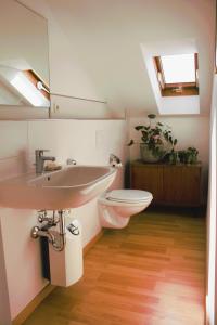 bagno con lavandino e servizi igienici di Ferienhaus Flying Roots Wackersberg a Wackersberg