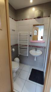 W łazience znajduje się umywalka, toaleta i lustro. w obiekcie Leśny Zajazd w mieście Susiec