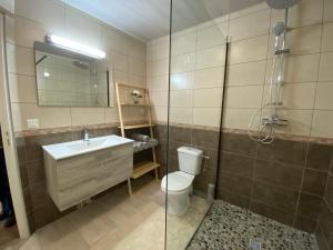 a bathroom with a sink and a toilet and a shower at Le virage pour un séjour rural in Fresnes-sur-Apance +3 photos