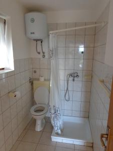 a bathroom with a shower and a toilet at Apartmani Marina in Labin