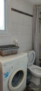 ein Badezimmer mit einer Waschmaschine und einem WC in der Unterkunft Kineta Farmhouse in Kineta