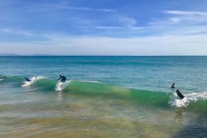 a group of people riding a wave in the ocean at Atlantic Waves Accommodation in Carcavelos