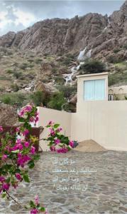 a house with pink flowers in front of a mountain at WADI BANI KALED REST HOUSE in Dawwah