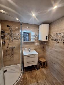 Bilik mandi di Apartament z tarasem nad strumykiem