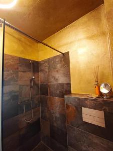 a bathroom with a shower with a glass door at Stausee- WaldLoft in Drognitz