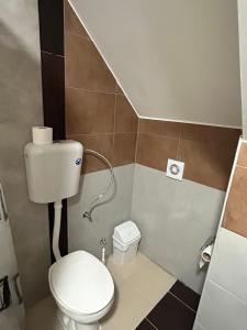 Vonios kambarys apgyvendinimo įstaigoje Vignjišta