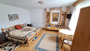 a bedroom with a bed and a sink in it at Vila Zenyt in Piatra Fantanele