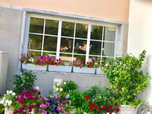 a window with flowers on the ledge of a building at Atlantic Waves Accommodation in Carcavelos