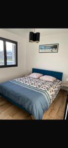 um quarto com uma cama azul e 2 almofadas em Maison moderne em Murianette