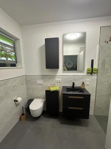a bathroom with a toilet and a sink and a mirror at Schmidtsches Quartier in Hain +20 photos