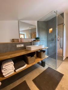 フィッシュバッハウにあるFerienwohnung Schwarzenbergのバスルーム(洗面台、ガラス張りのシャワー付)