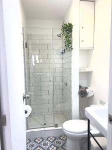 a bathroom with a shower and a toilet at Friendly Apartment Tamayo in Lima