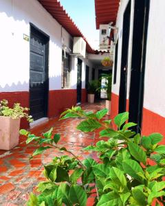 a courtyard of a house with plants and a door at HOTEL casa VALLENATA in Valledupar