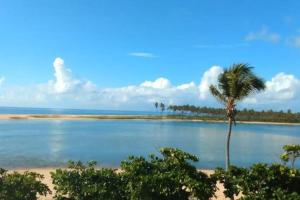 een palmboom op een strand met de oceaan bij Casa no Condomínio Parque do Jacuipe com acesso à praia e rio in Barra de Jacuípe
