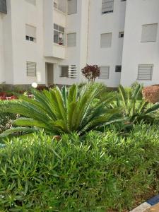 Taman di luar Magnifique appartement a bouznika