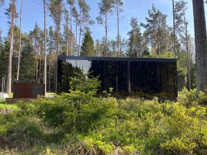 uma caixa de vidro no meio de uma floresta em Mustika Mirror minivilla saunaga em Kärdla