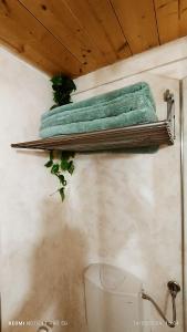 una mensola con asciugamani e un bagno con servizi igienici di Alle volte Suite 30 a Grumo Appula
