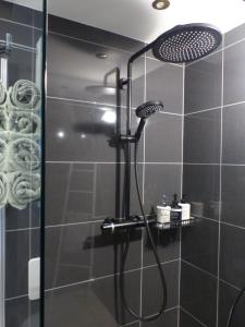 a shower with a shower head in a bathroom at Sweet Home in Murten