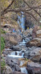 a stream of water on a rocky hill with trees at Atlas Views in Imlil