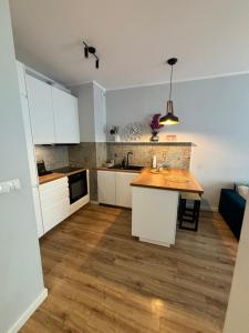 Kuchyňa alebo kuchynka v ubytovaní GARBARY Old Town LUX Apartment 106, self check-in 24h, free parking
