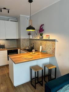 Kuchyňa alebo kuchynka v ubytovaní GARBARY Old Town LUX Apartment 106, self check-in 24h, free parking