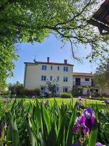 a house in the middle of a field of flowers at Apartments Marija in Murine