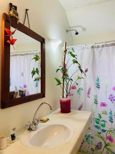 a bathroom with a sink and a shower curtain at Amplia Habitacion en San Telmo in Buenos Aires