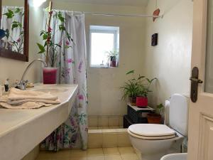 a bathroom with a sink and a toilet and a shower at Amplia Habitacion en San Telmo in Buenos Aires