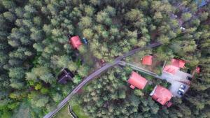 uma vista superior de uma estrada numa floresta em Vila Tarska oblica em Bajina Bašta