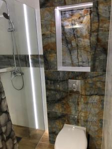 La salle de bains est pourvue de toilettes et d'une douche en verre. dans l'établissement Willa Aisza, à Jastrzębia Góra