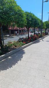 uma rua com flores e árvores ao lado de uma rua em Iris 25 em Benalmádena