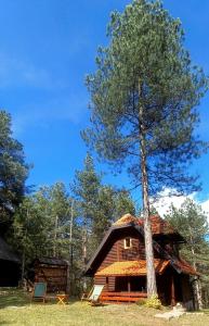 uma cabana com uma árvore em frente em Vila Tarska oblica em Bajina Bašta