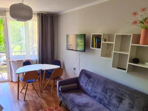 Lokal 40 - apartament w samym centrum في ريمانوف-زدروي: غرفة معيشة مع أريكة وطاولة