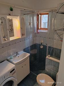 a bathroom with a shower and a sink and a toilet at Panoráma Holiday Home in Badacsonyörs