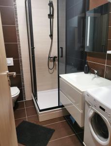 a bathroom with a shower and a sink and a washing machine at New modern apartment in Selce