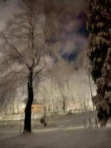 a tree is covered in snow in a park at Ferienwohnung 304 am Kasinopark in Georgsmarienhütte